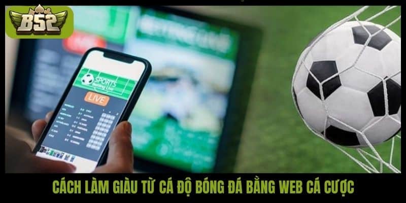 Cách làm giàu từ cá độ bóng đá bằng web cá cược
